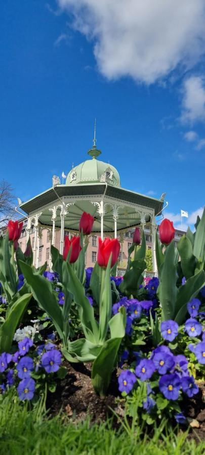 Byleilighet I Sjokanten M Terrasse Bergen Buitenkant foto